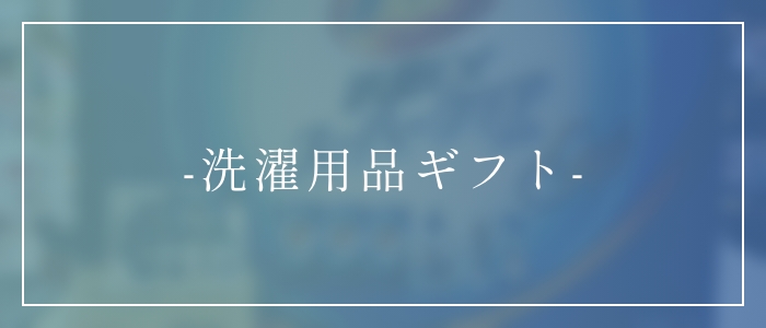 洗濯用品ギフト